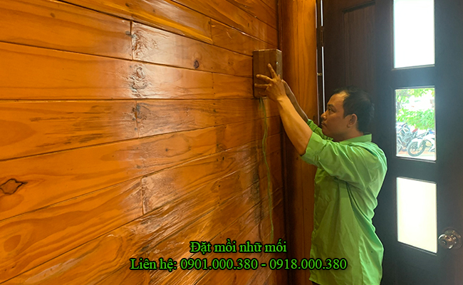 Kỹ thuật viên tiến hành đặt mồi nhữ mối ngay vị trí đang bị mối.
