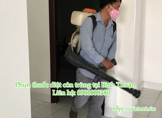 Dịch vụ diệt côn trùng tại Bình Thuận uy tín