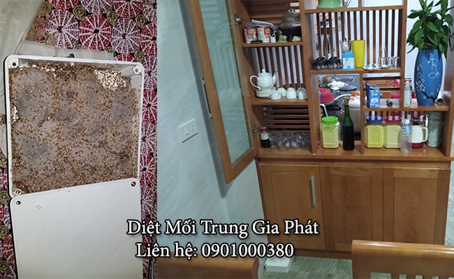 Diệt mối trong tủ điện tại Nghệ An