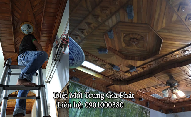 Diệt mối trong tủ điện tại Nghệ An