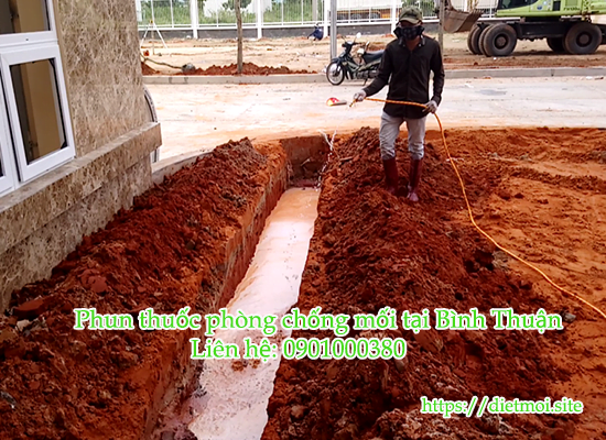 Phòng chống mối công trình xây dựng tại Bình Thuận