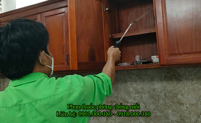 Kỹ thuật viên phun thuốc phòng chống mối quanh khu vực đã diệt trước đó.