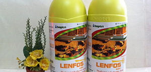 Thuốc phòng chống mối Lenfos 50EC Anh Quốc